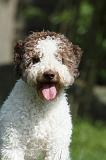 LAGOTTO 019
